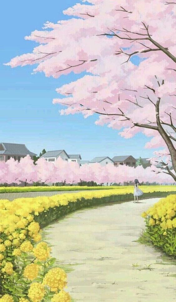 Phone Wallpaper free Phone Wallpaper Download flower - Phone Wallpaper Spring - 564x967 Wallpaper Phone Wallpaper free Phone Wallpaper Download flower - Phone Wallpaper Spring - 564x967 Wallpaper