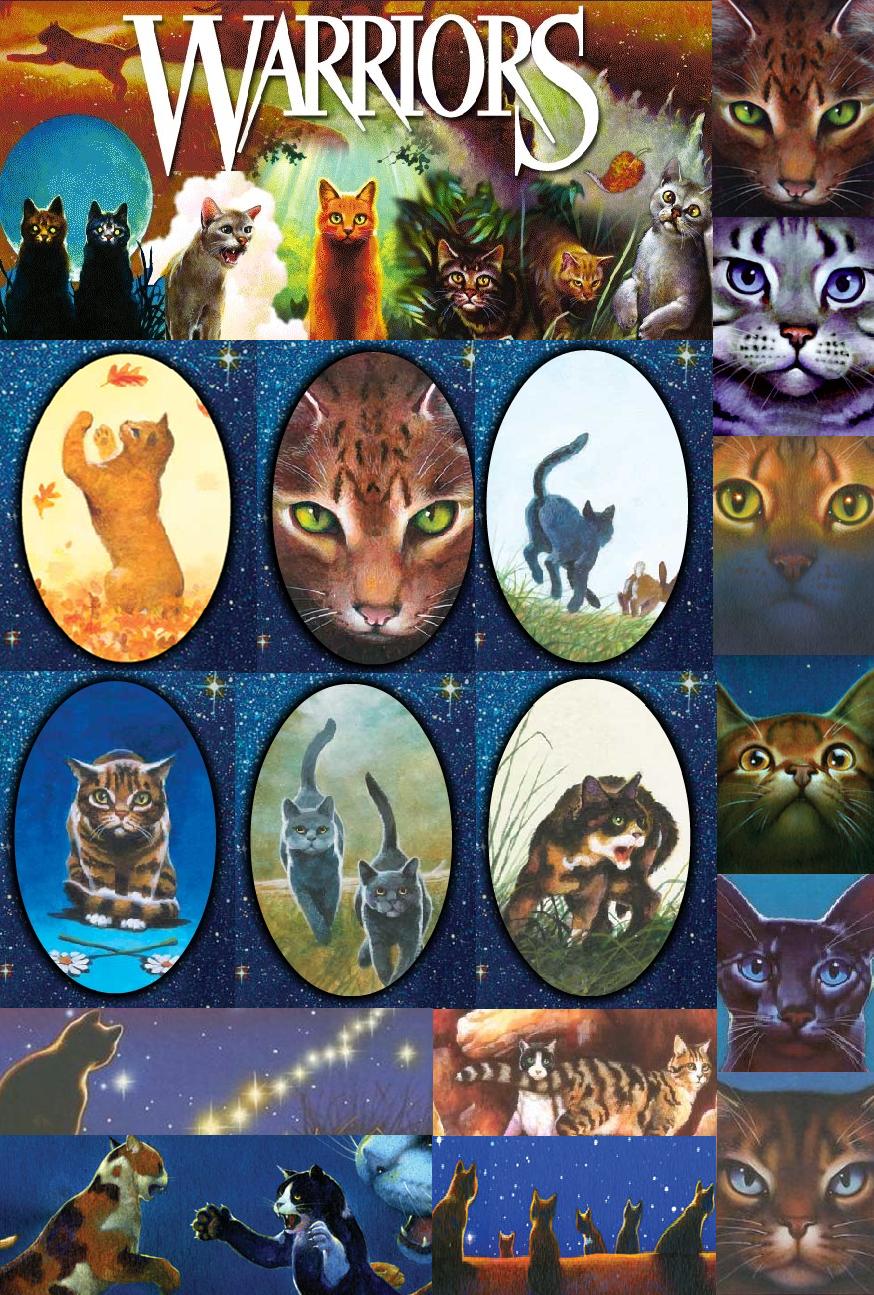 Warriors Cats Cats - Warrior Cats Wallpaper Iphone - HD Wallpaper 