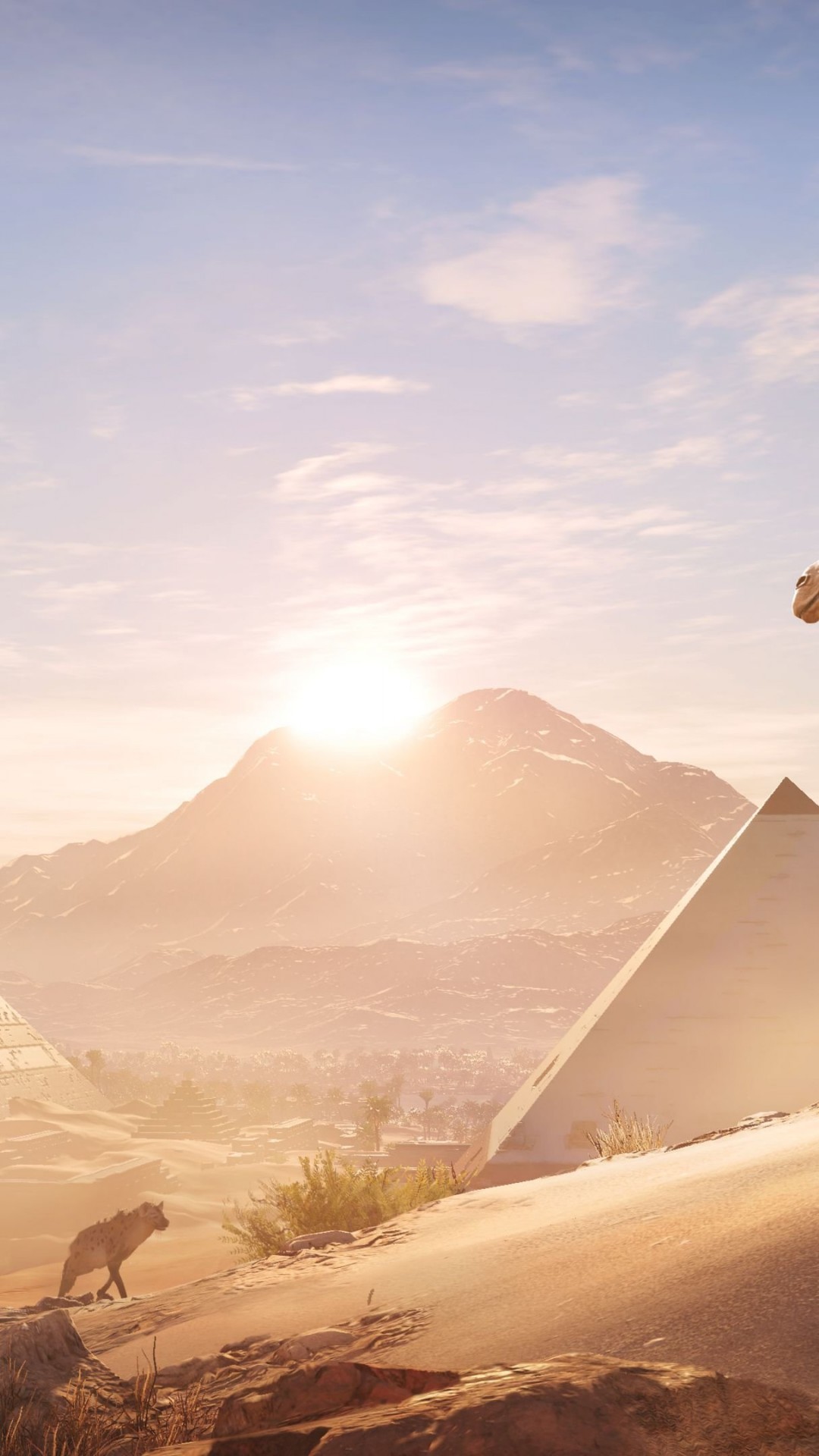 Assassin's Creed Origins Camels - HD Wallpaper 