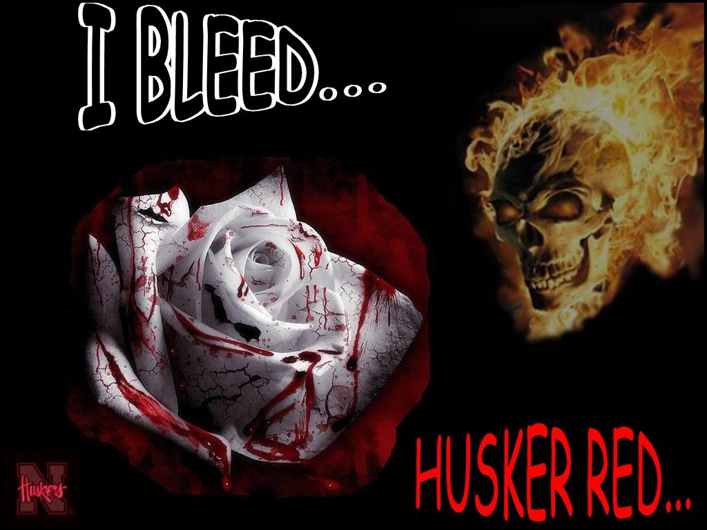 Deep Beauty Rose Quotes - HD Wallpaper 