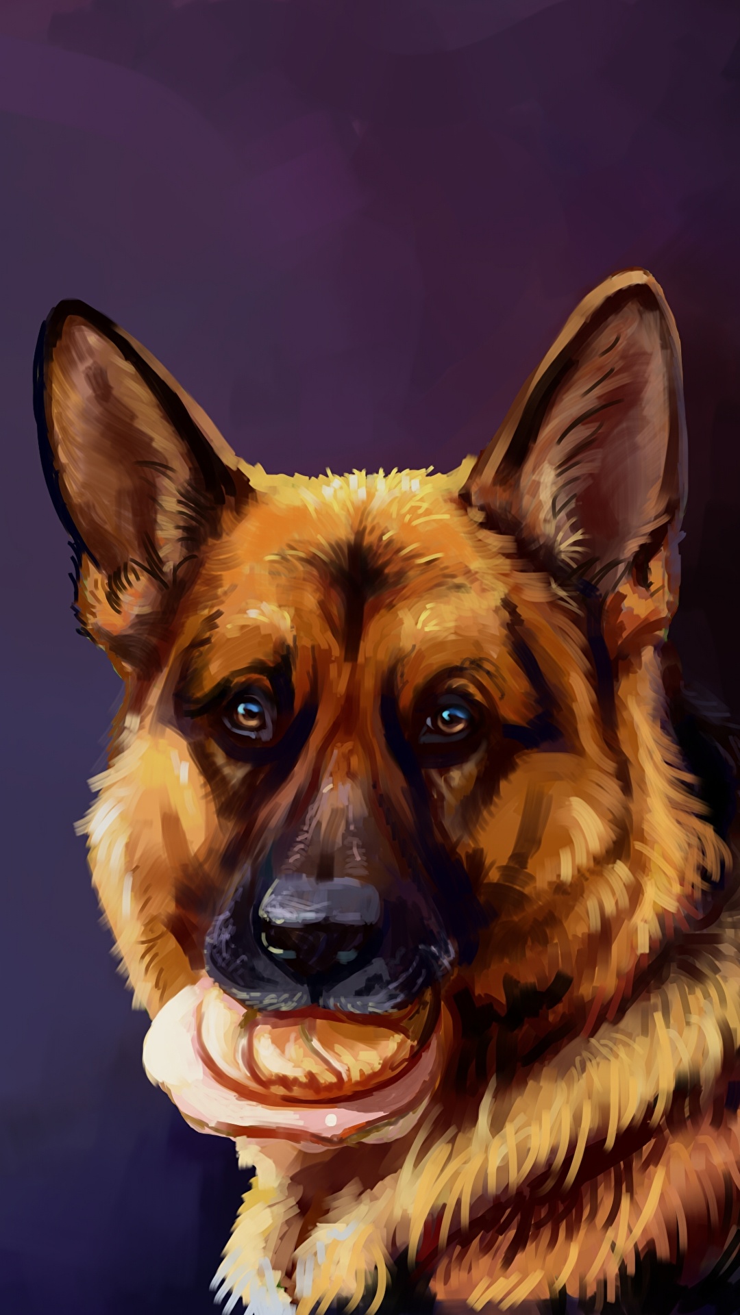 German Shepherd - HD Wallpaper 