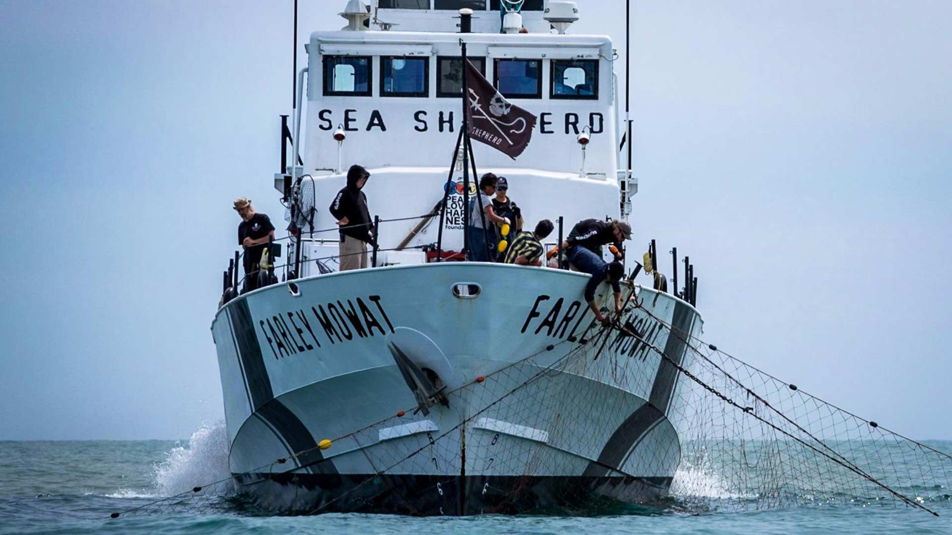 Sea Shepherd Nets - HD Wallpaper 