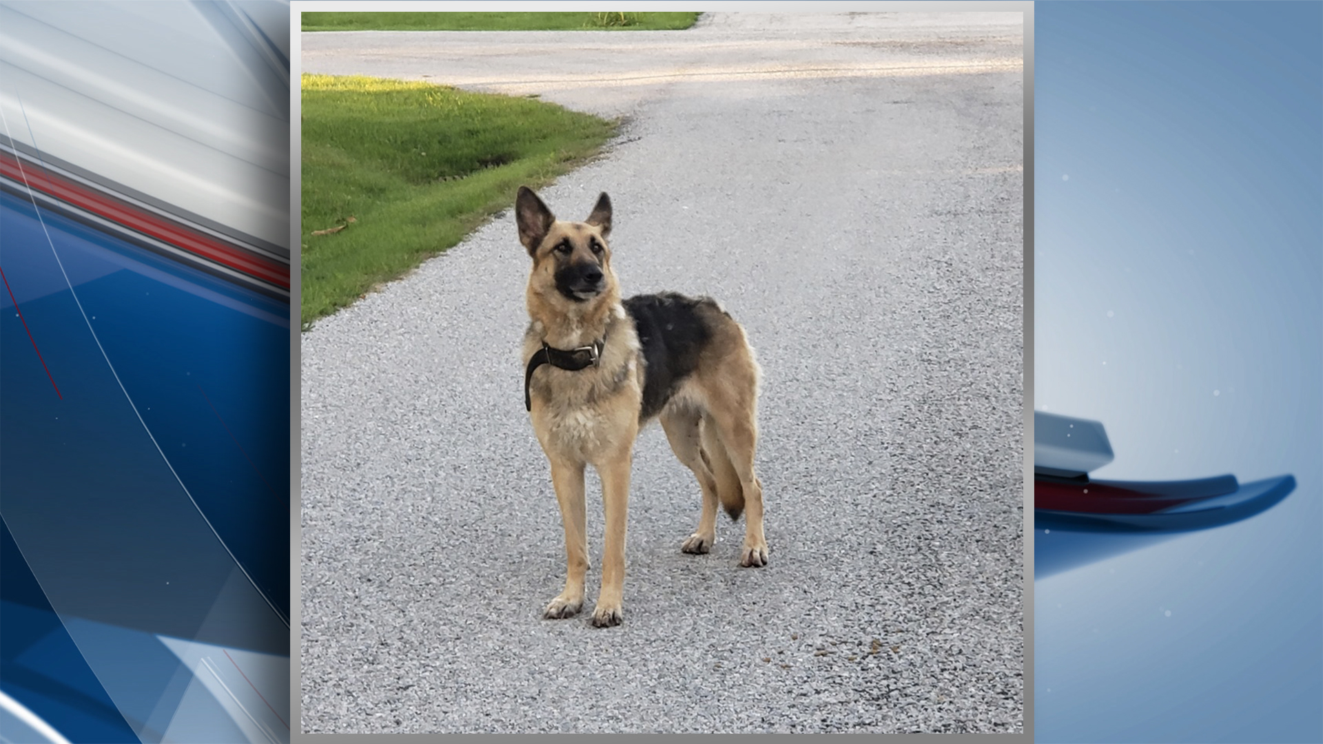 City Of Davenport Sign - HD Wallpaper 