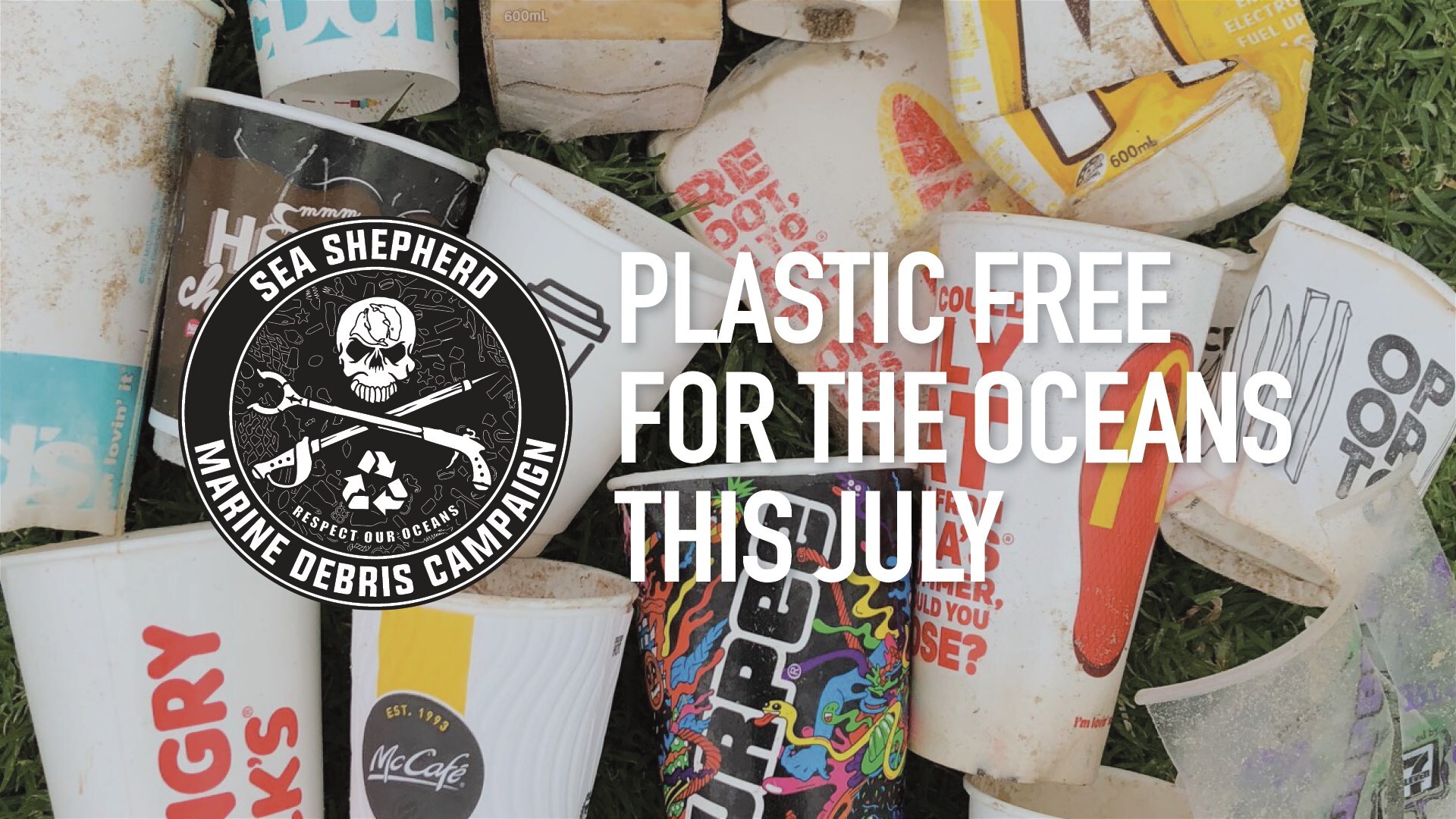 Adelaide Beach Clean, Sea Shepherd Marine Debris Campaign, - Sea Shepherd - HD Wallpaper 