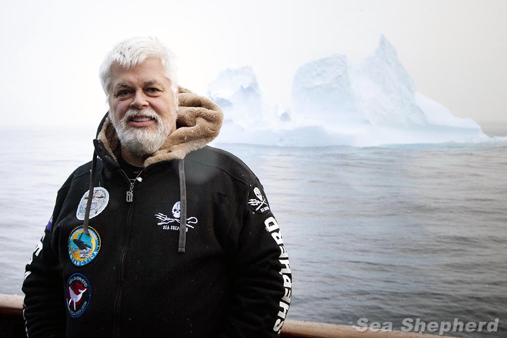 Paul Watson Sea Shepherd - HD Wallpaper 