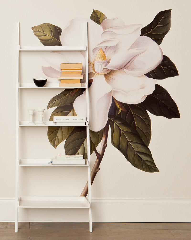 White Vintage Botanical Png - HD Wallpaper 