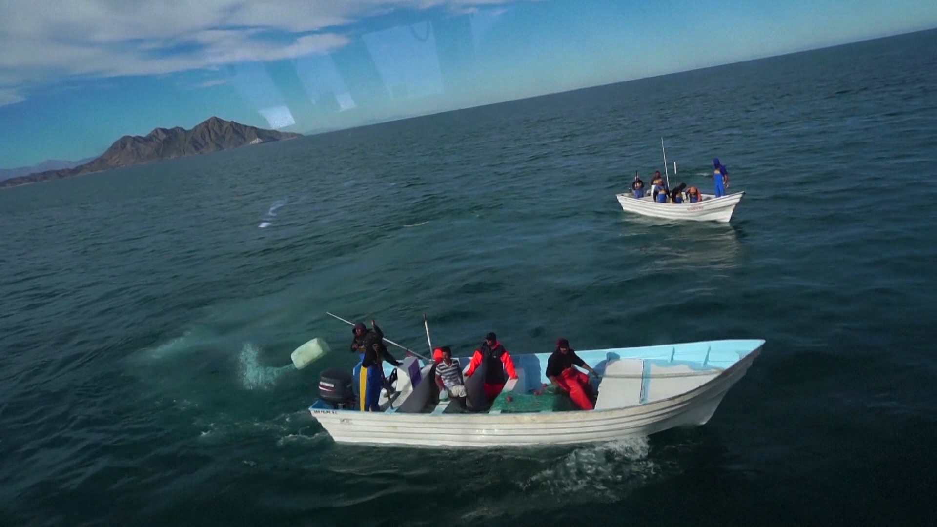 El Ataque A Una Embarcacion De Sea Shepherd Protectora - Boating - HD Wallpaper 