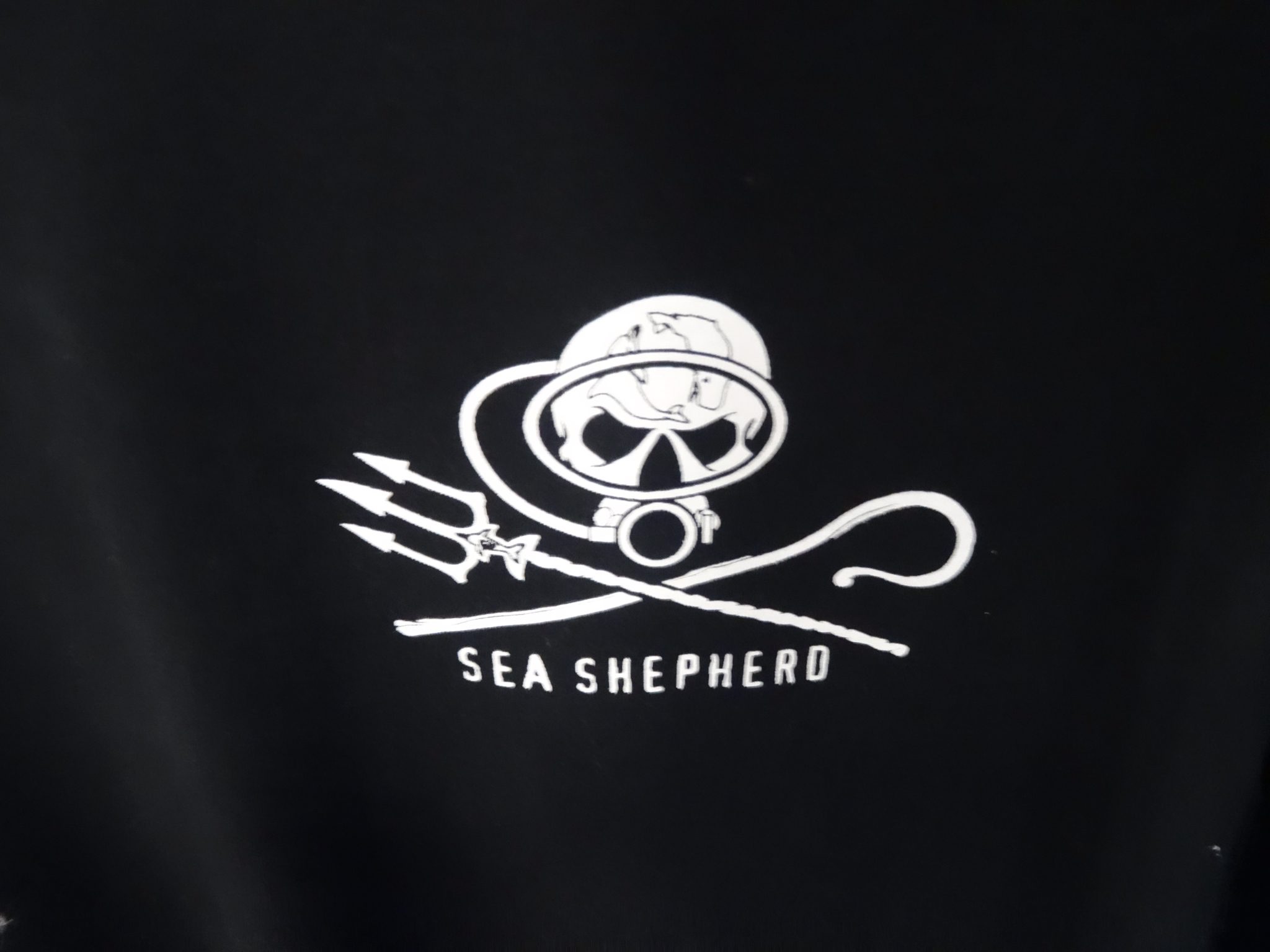 Sea Shepherd - HD Wallpaper 