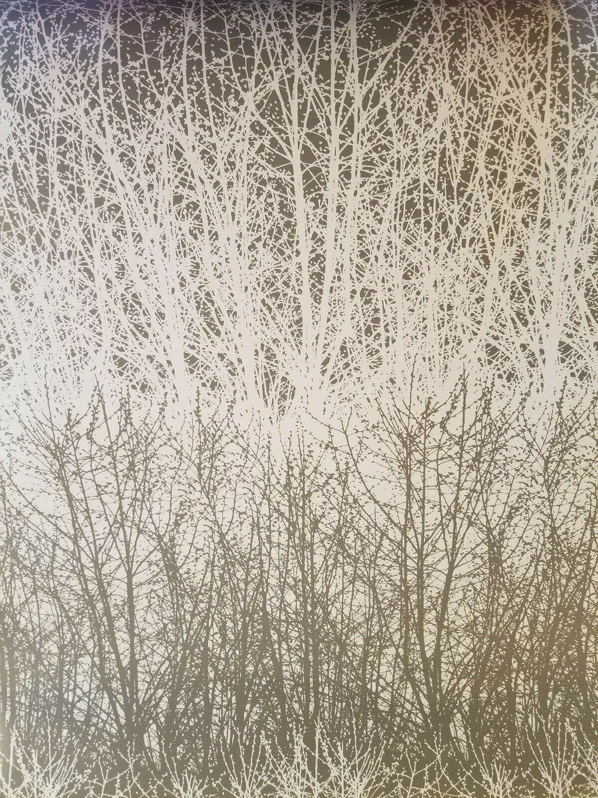 Pond Pine - HD Wallpaper 