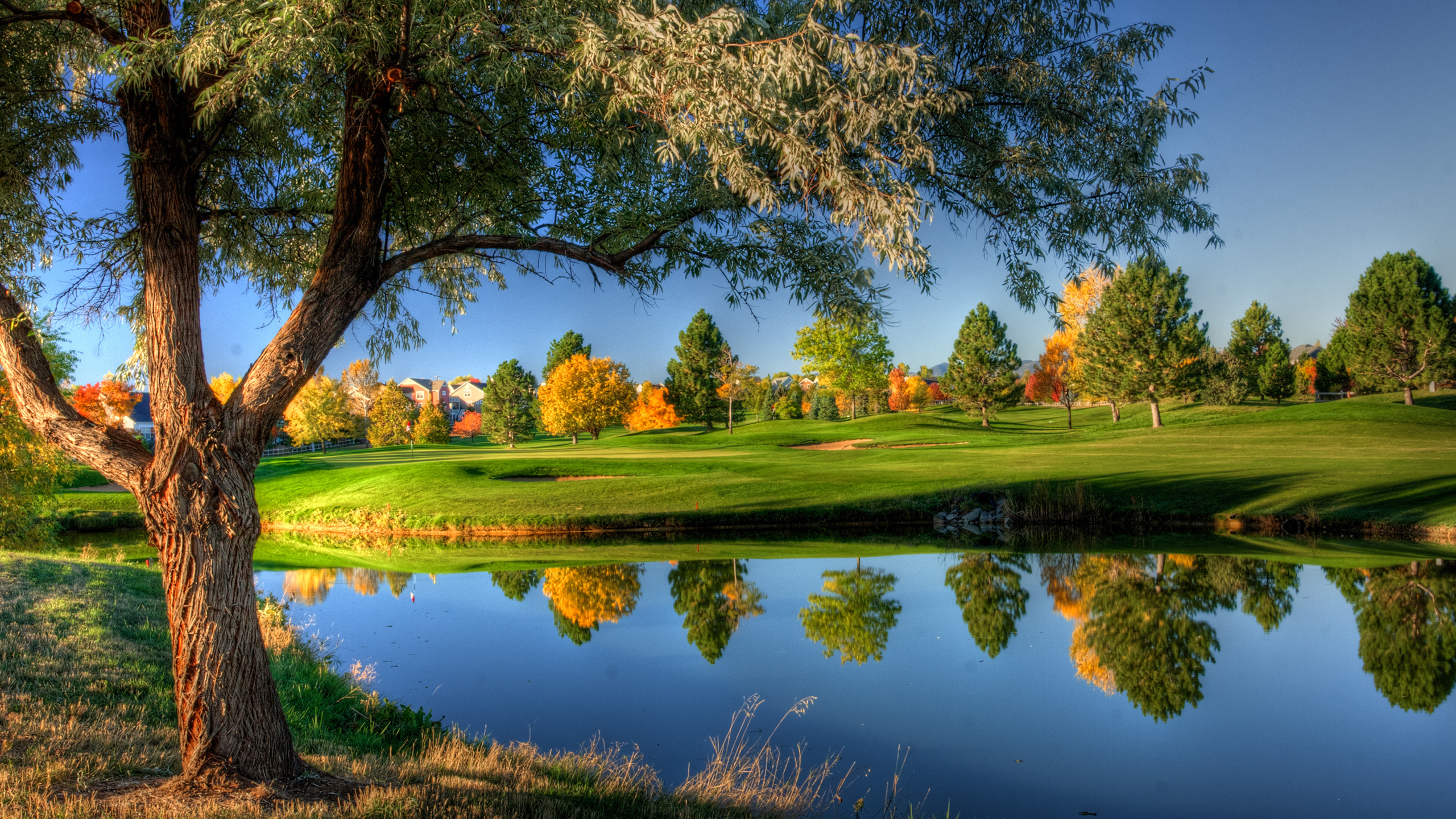 Home, River, Autumn, Nature - Sunny Landscape - HD Wallpaper 