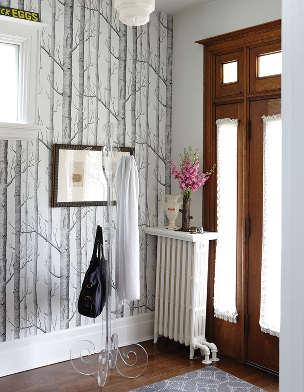 Woods - HD Wallpaper 