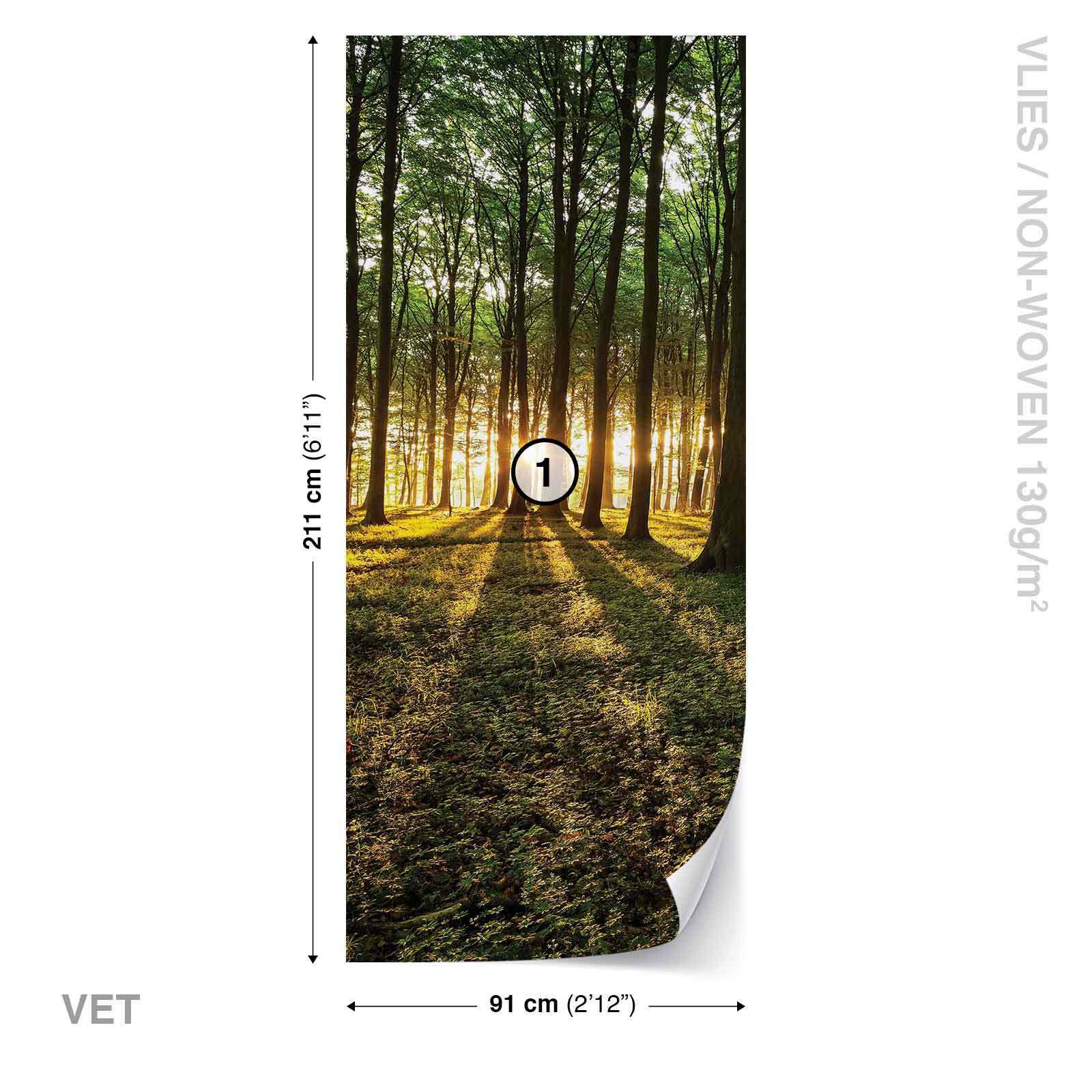 Grove - HD Wallpaper 