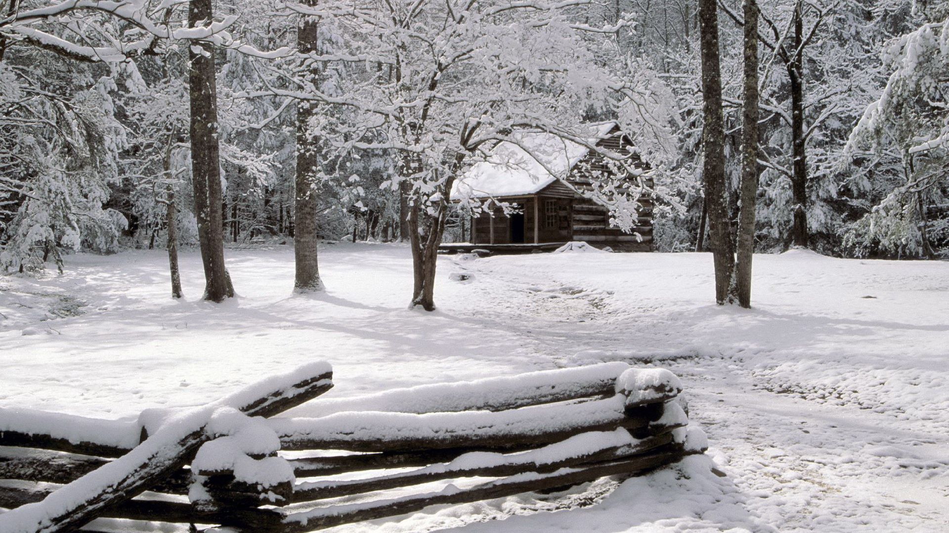 Nature House Wallpaper - Great Smoky Mountains Winter - HD Wallpaper 