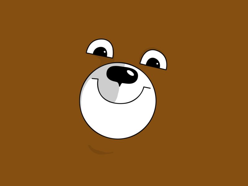 Cute Bear Face - Bear Face Hd Wallpaper Cartoon - HD Wallpaper 