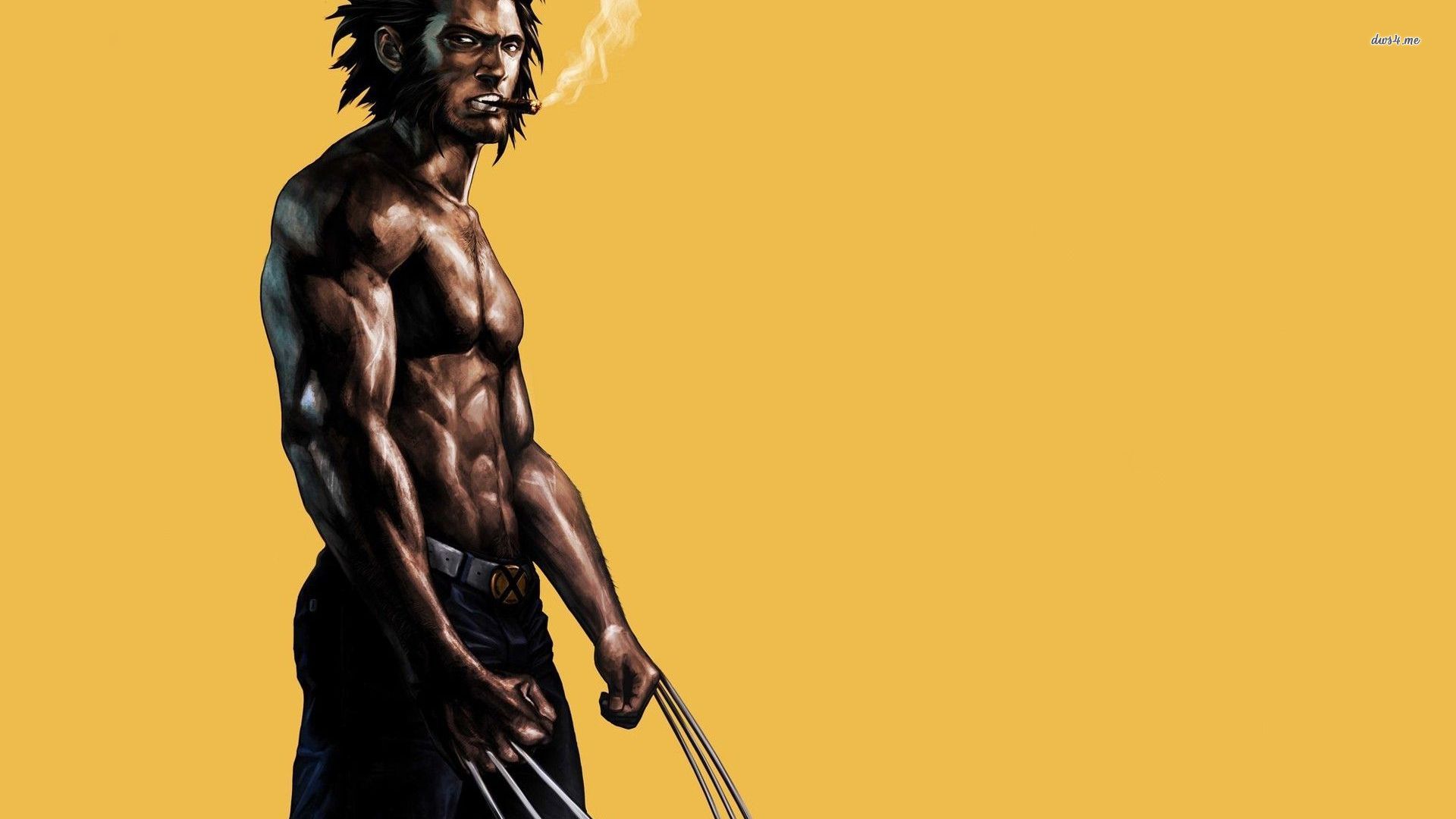 Wolverine - HD Wallpaper 