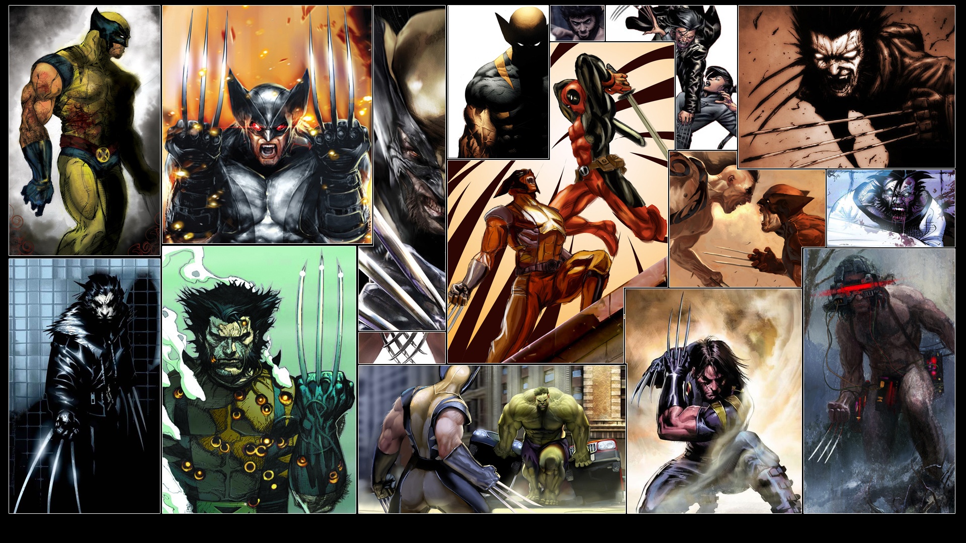 Wolverine Vs Hulk - HD Wallpaper 