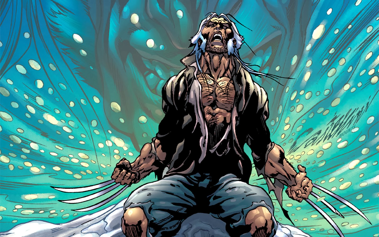 Wolverine The End - HD Wallpaper 