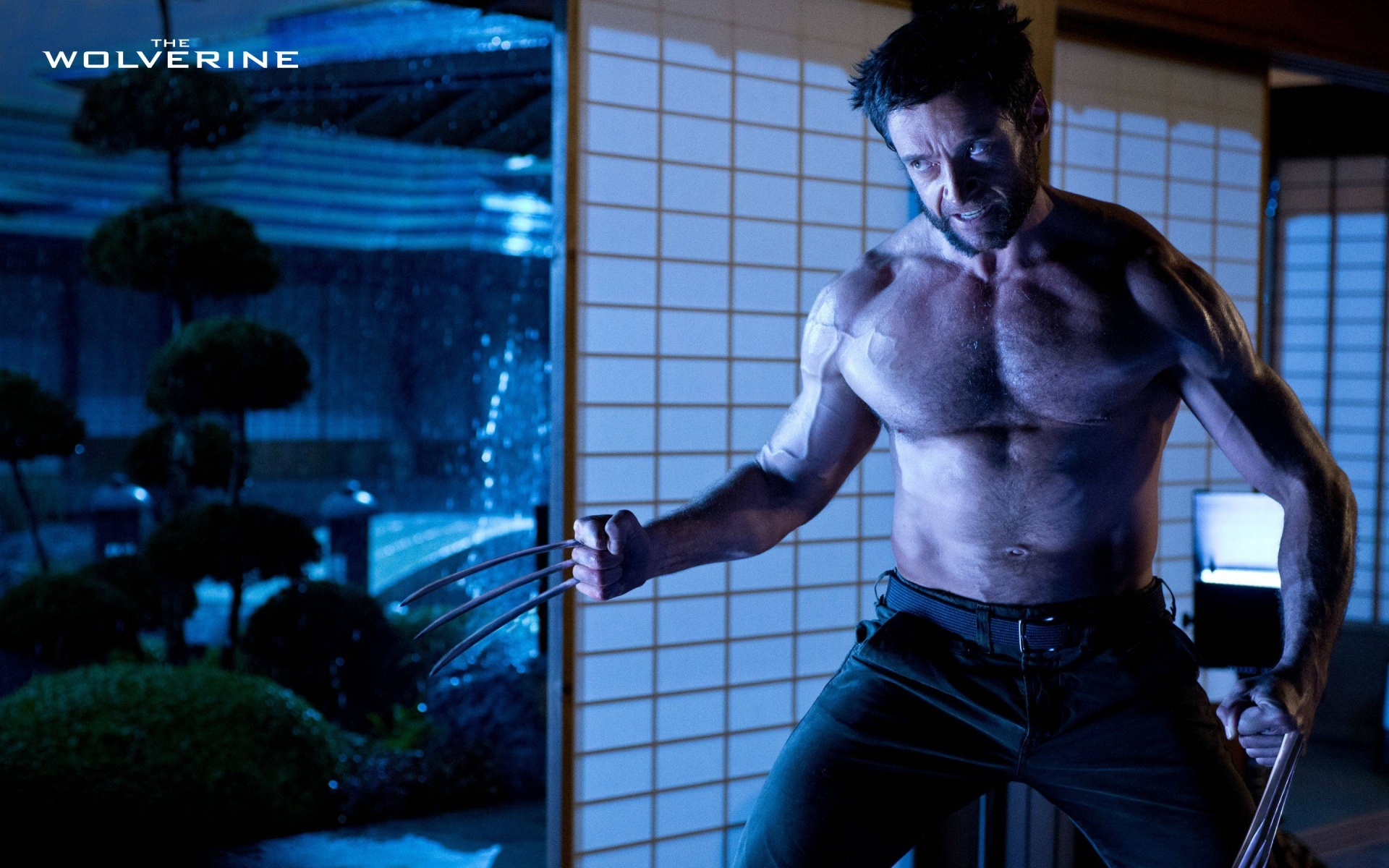 Hugh Jackman As Wolverine 2013 - HD Wallpaper 
