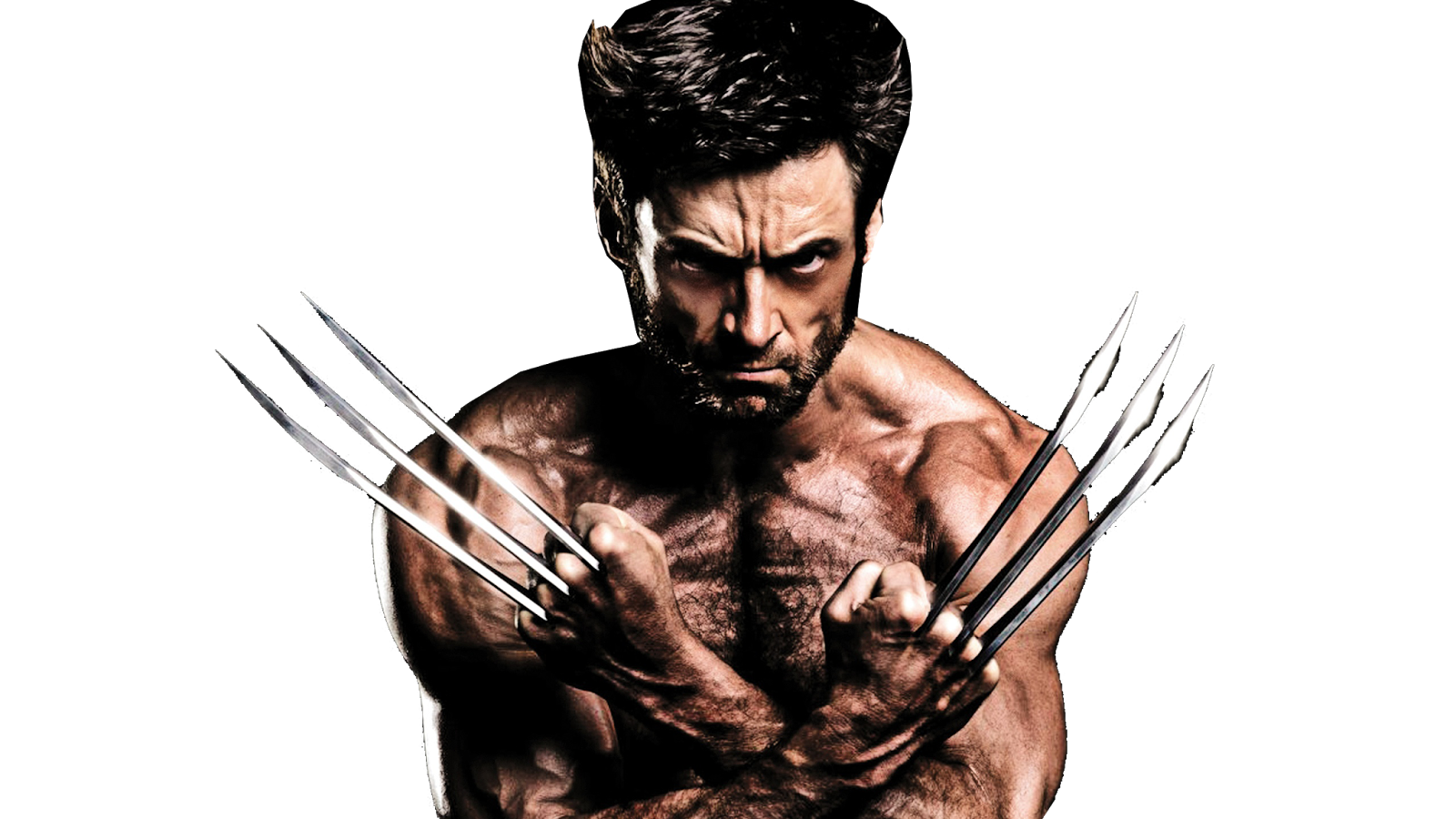 Wolverine Hugh Jackman Png - Transparent Background Wolverine Png - HD Wallpaper 
