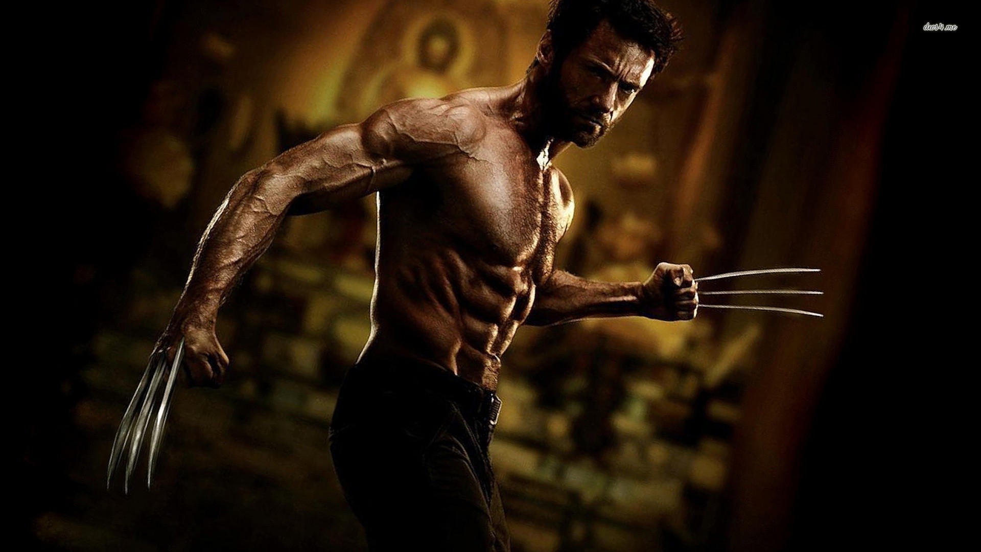 Wolverine Wallpapers Desktop - HD Wallpaper 