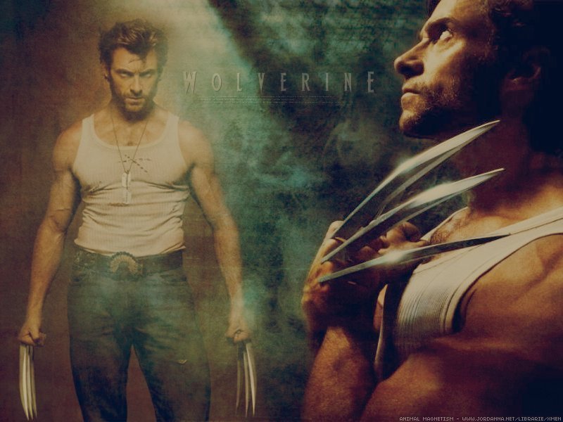 Logan - Men Origins Wolverine Icon - HD Wallpaper 