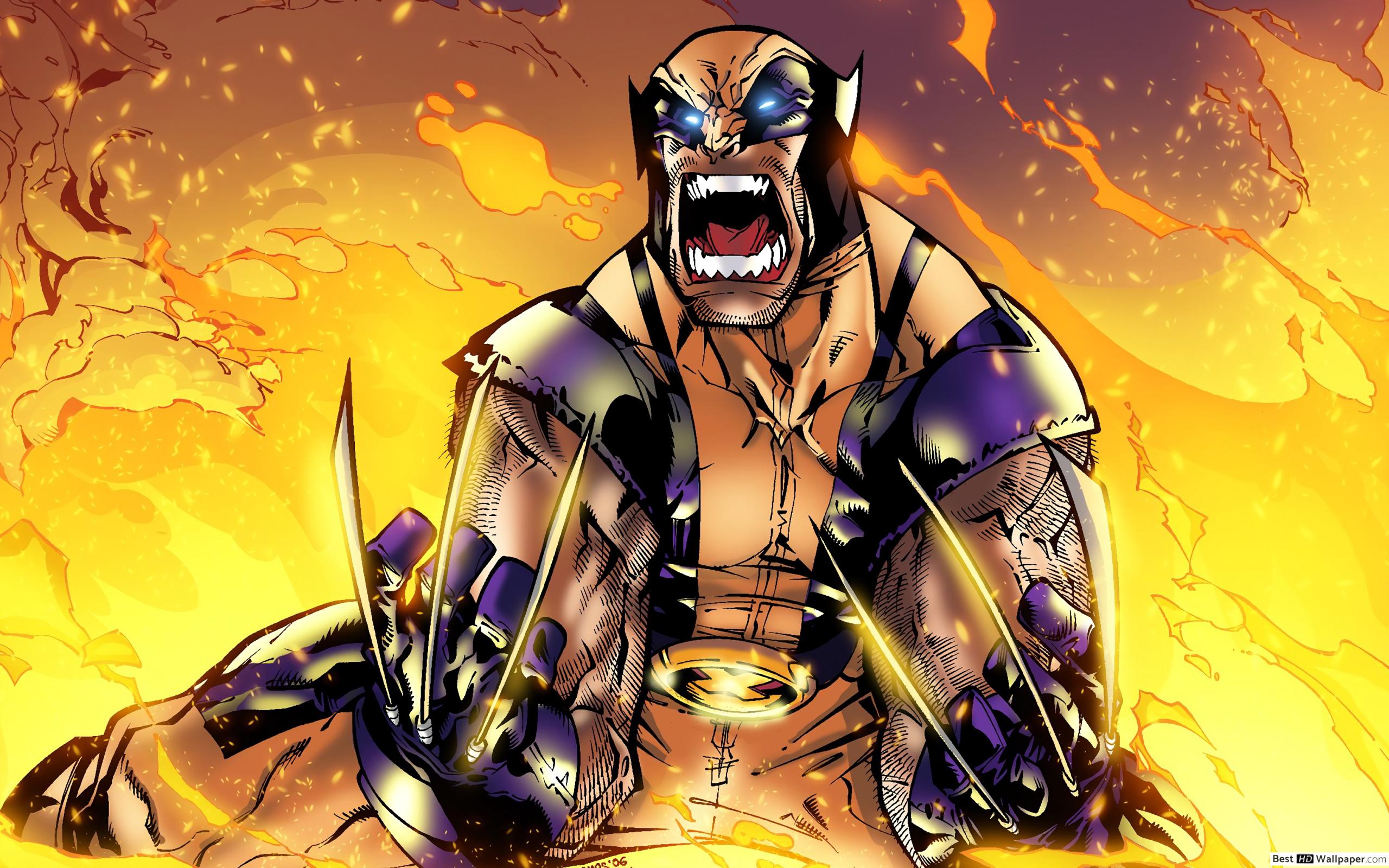 Wolverine Comic Wallpaper 4k 2560x1600 Wallpaper Teahub Io