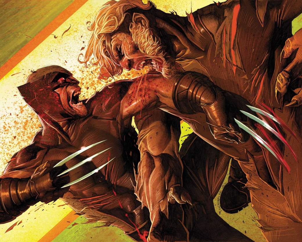 X Men Sabretooth - HD Wallpaper 