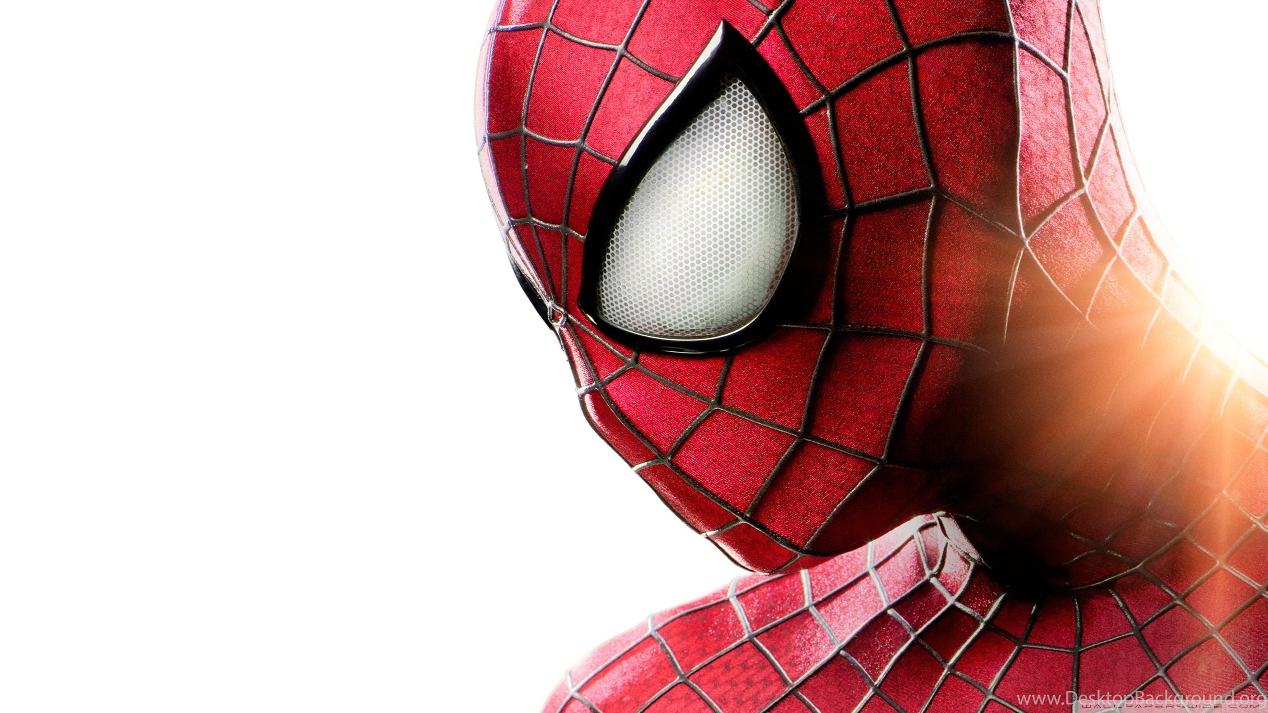 Spiderman White Background Hd - 2560x1440 Wallpaper - teahub.io