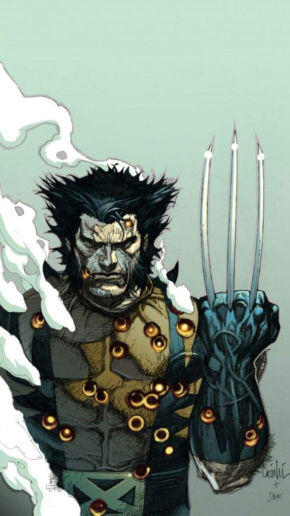 User Uploaded Image - Francis Leinil Yu Wolverine - HD Wallpaper 