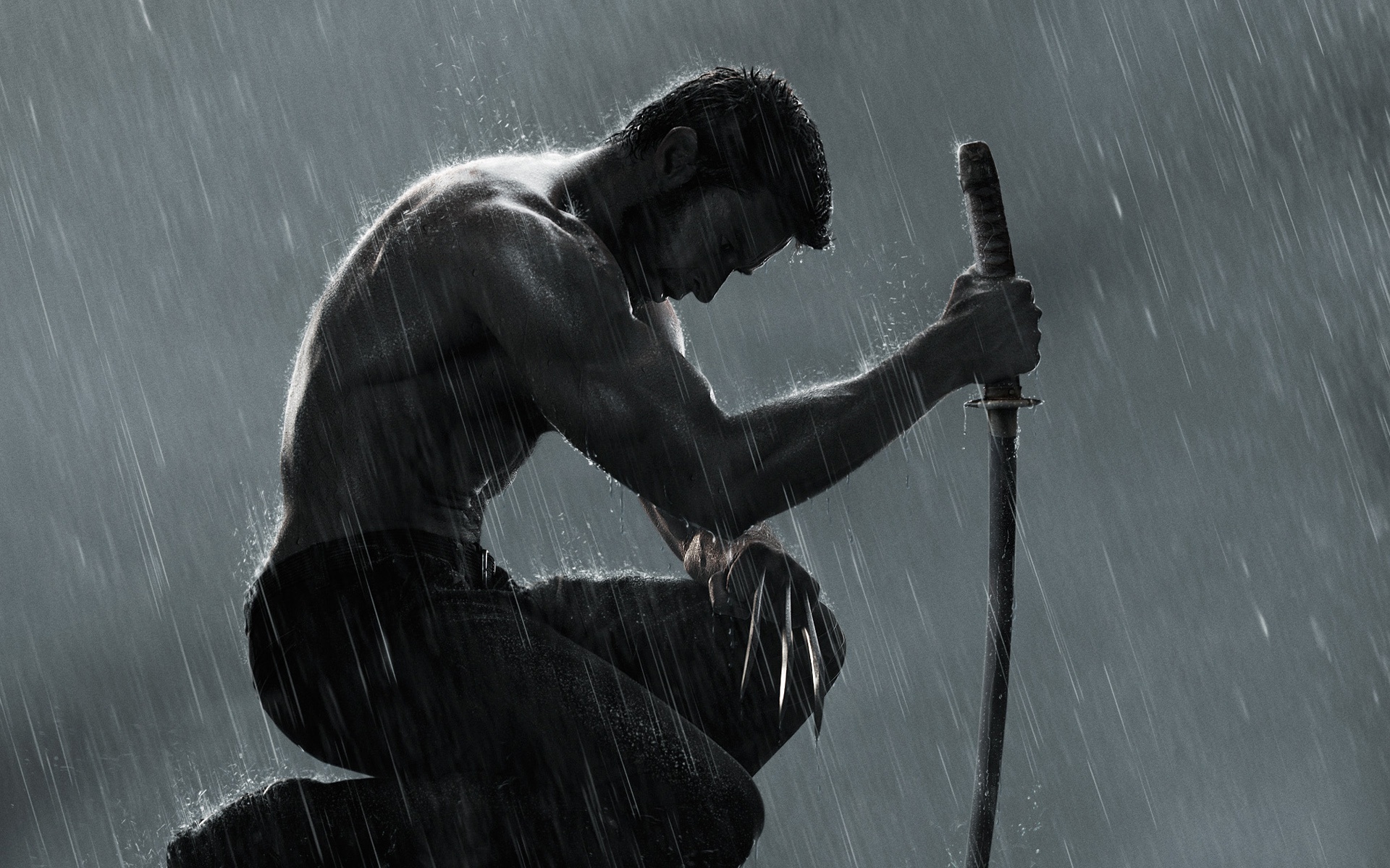 Wolverine 2013 - HD Wallpaper 