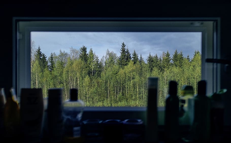 Green Leafed Trees, Finland, Tornio, Entertainment - Home Cinema - HD Wallpaper 