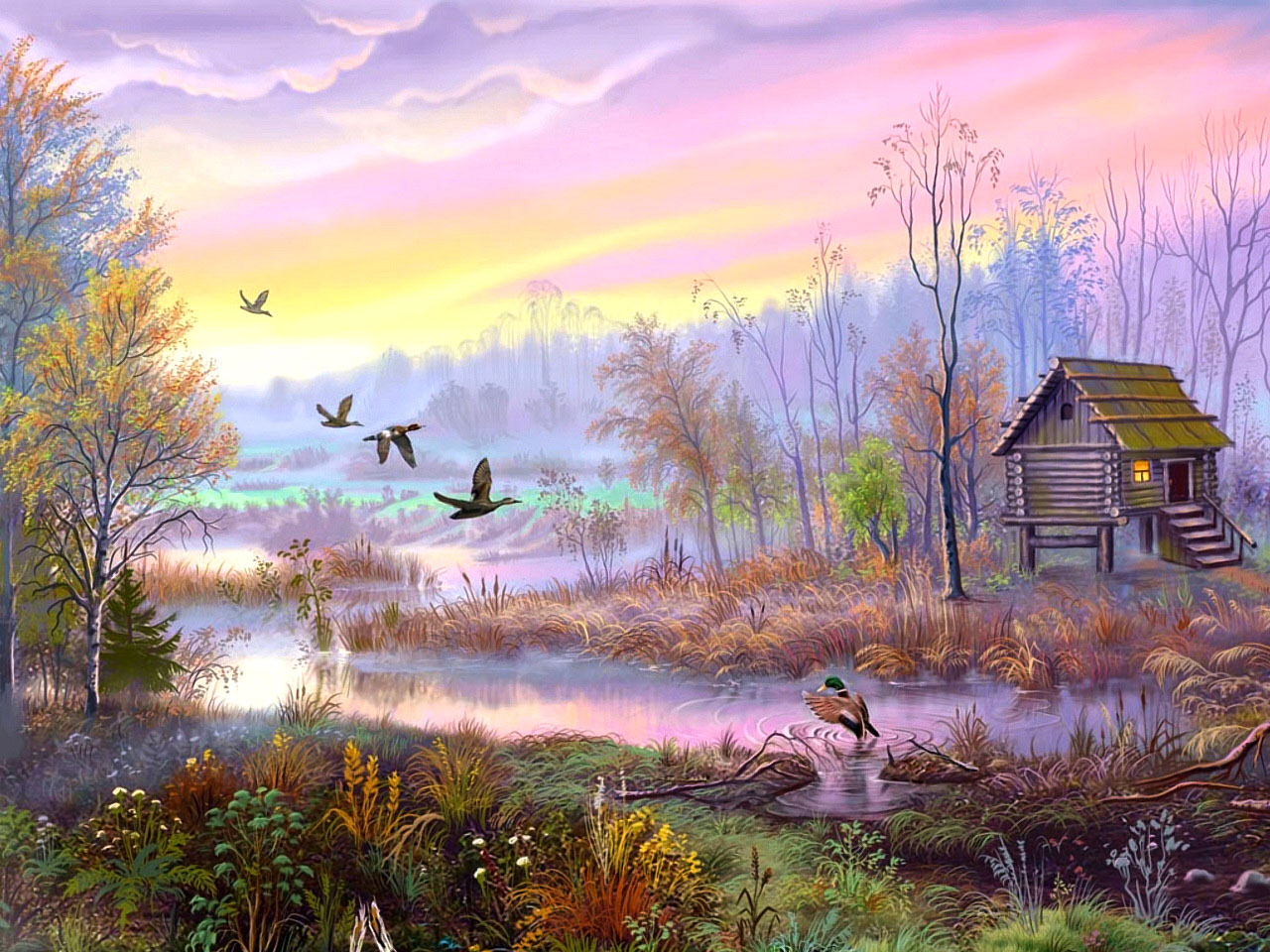 Wild Ducks Bird Photo Gallery - High Resolution Duck Hunting - HD Wallpaper 