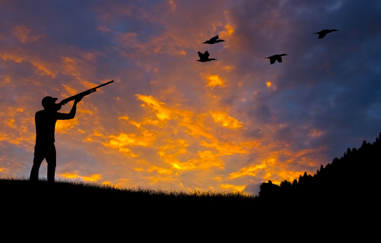 Photo Wallpaper Forest, Nature, Duck, Silhouette, Shooting, - Threat To The Ecosystem - HD Wallpaper 