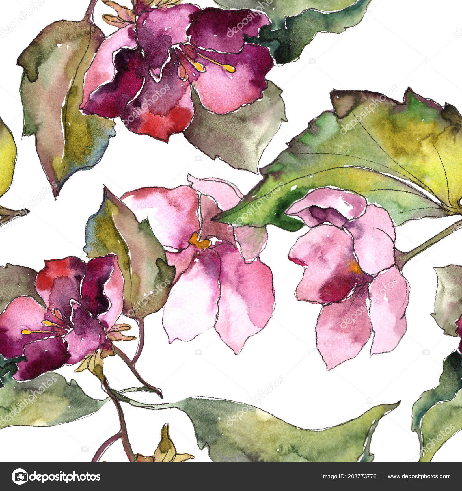 Cattleya - 1600x1700 Wallpaper - teahub.io