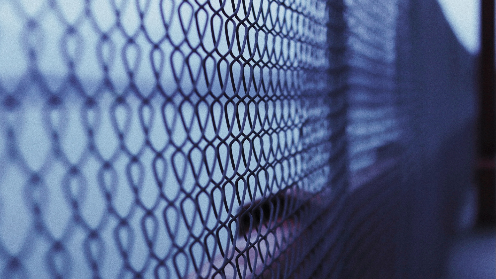 Wallpaper Mesh, Fence, Fencing, Metal, Cells - Fence - HD Wallpaper 