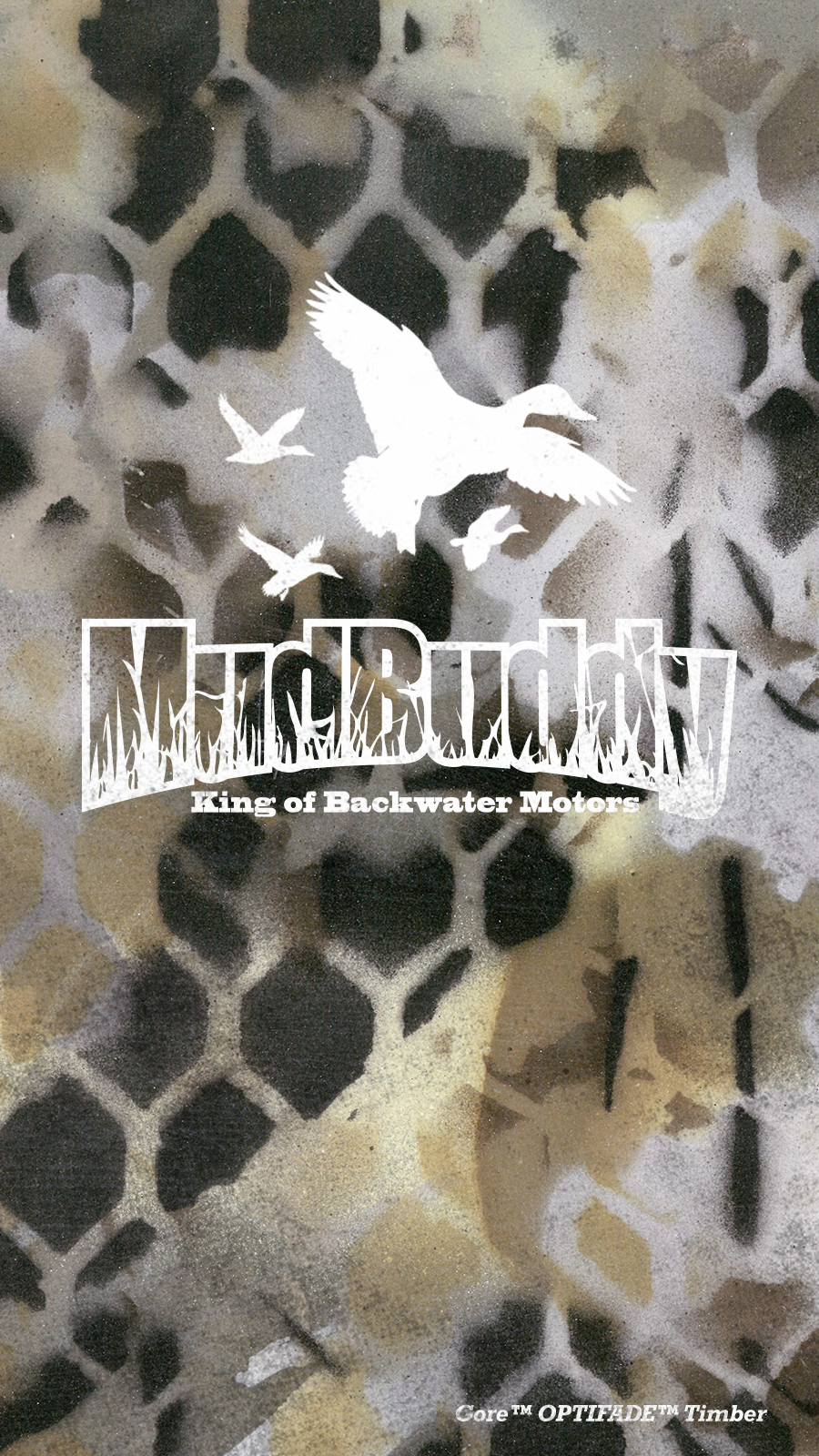 Album Cover - HD Wallpaper 