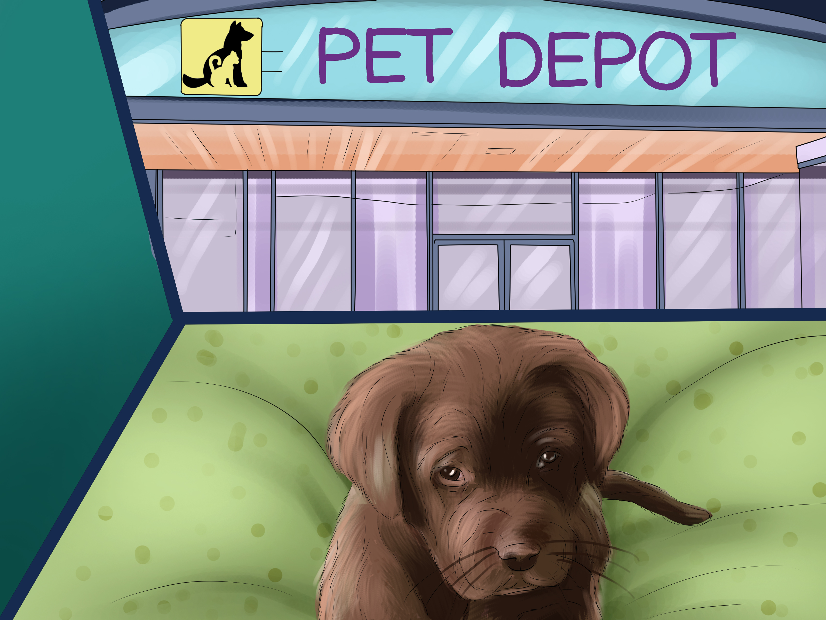 Image Titled Buy A Chocolate Labrador Step - Companion Dog - HD Wallpaper 