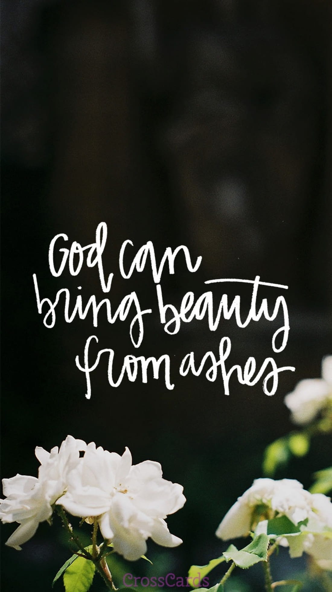 Not How Much We Do But How Much Love We Put In The - HD Wallpaper 