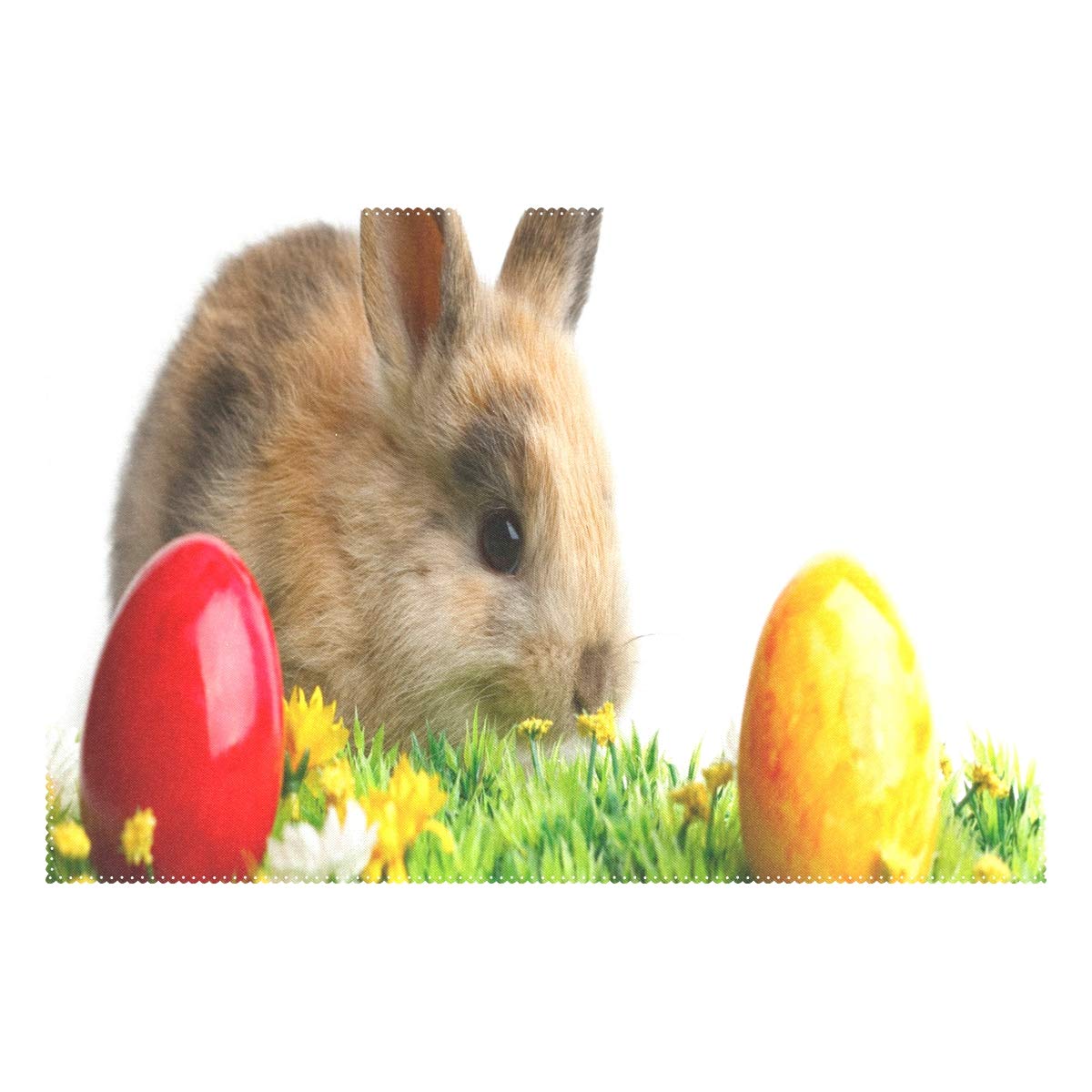 Domestic Rabbit - HD Wallpaper 