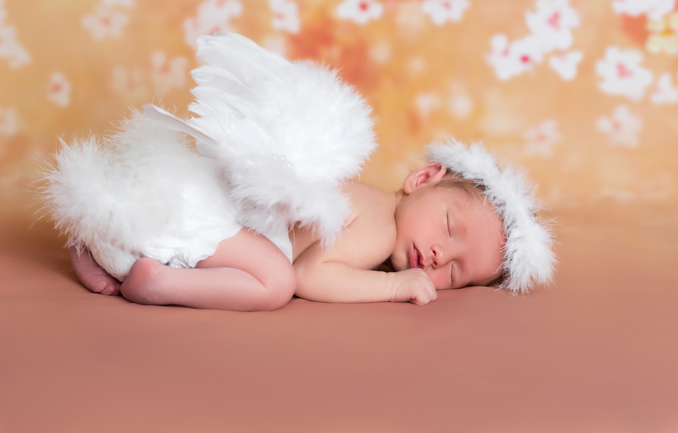 Photo Wallpaper Sleep, Wings, Angel, Baby, Sleeping, - 赤ちゃん 天使 - HD Wallpaper 