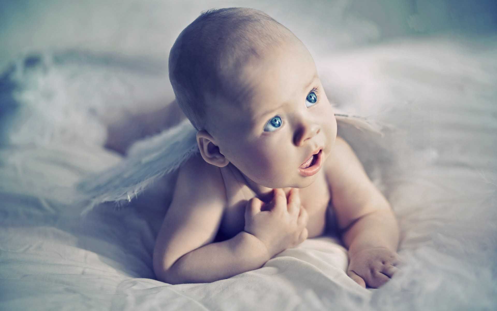 Baby Blue Eyes Wings Angel Wallpaper Wallpaper - Baby Blue Eyes Angel - HD Wallpaper 