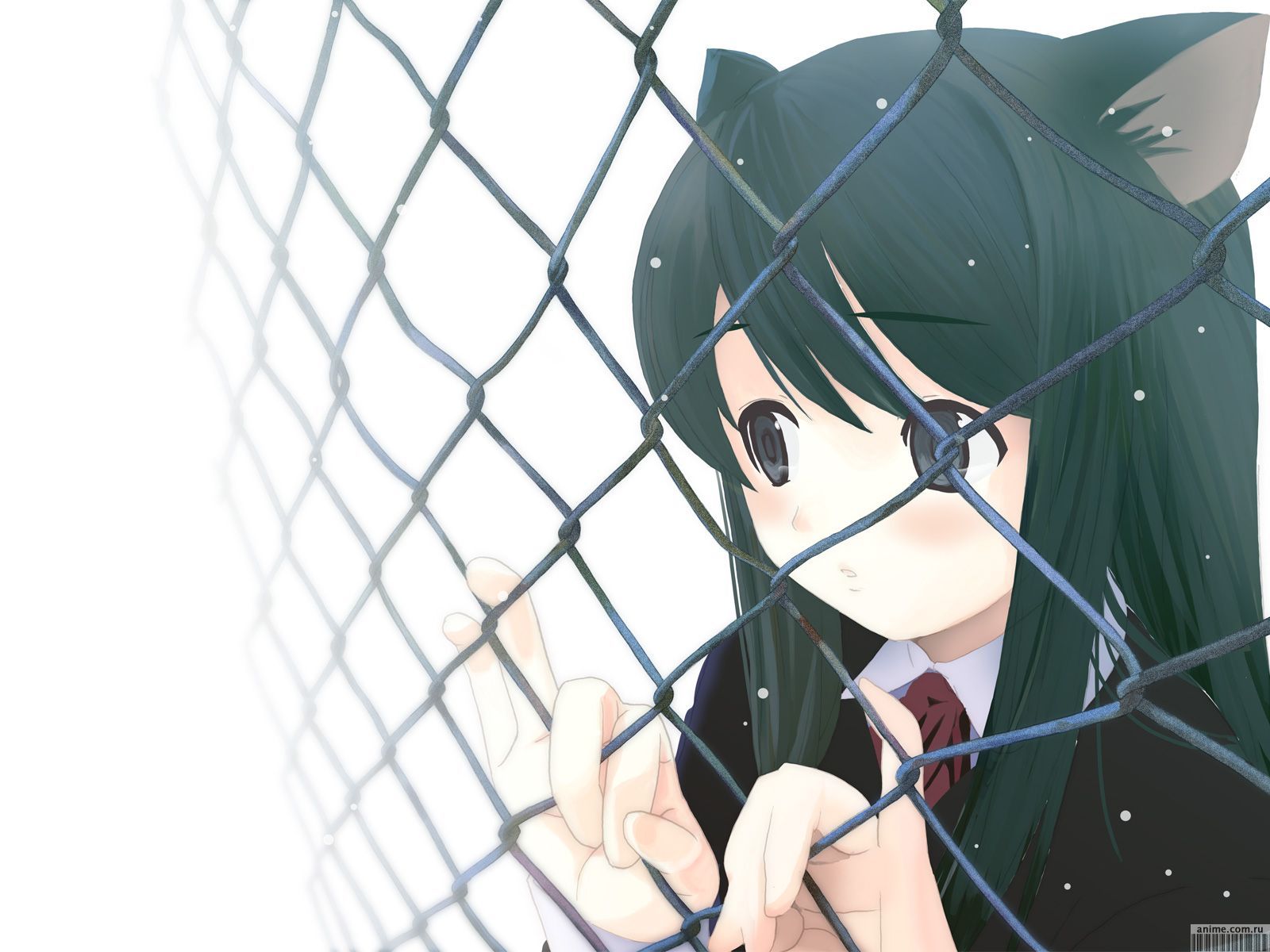 Anime Neko Cats Girl - HD Wallpaper 