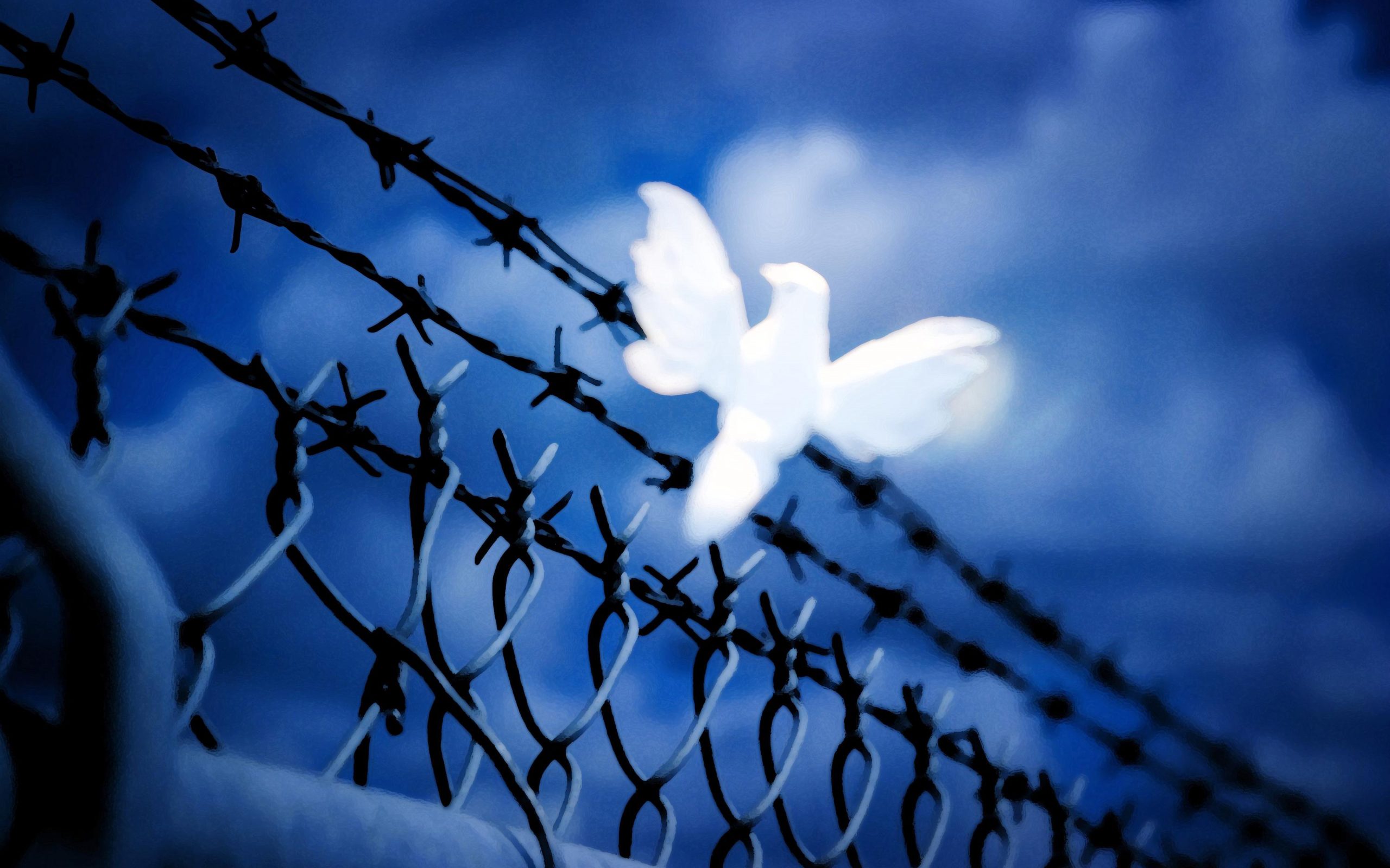 Drawings Of Love And Peace - HD Wallpaper 