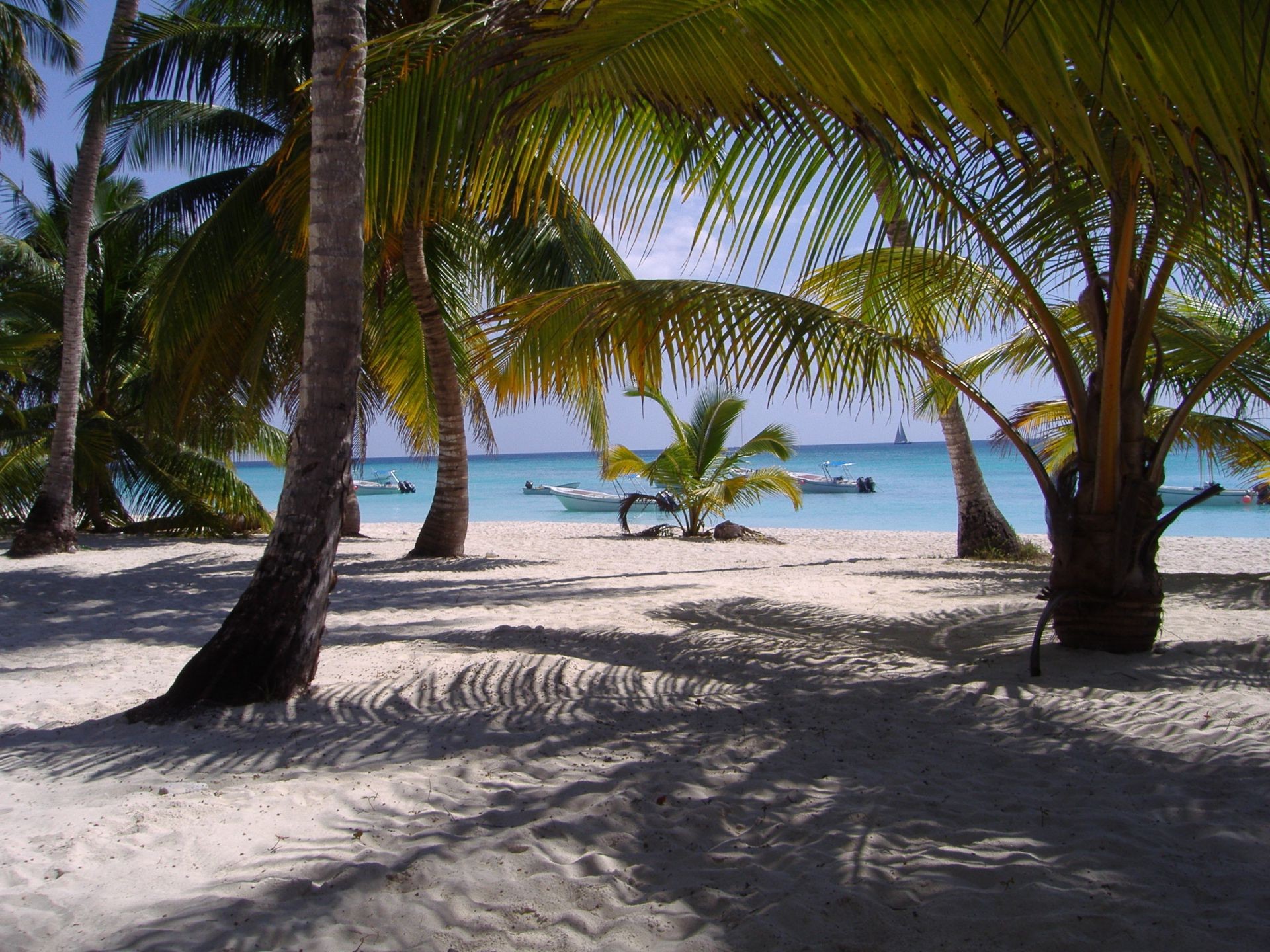 Sea And Ocean Beach Sand Tropical Seashore Ocean Palm - Dominican Republic - HD Wallpaper 