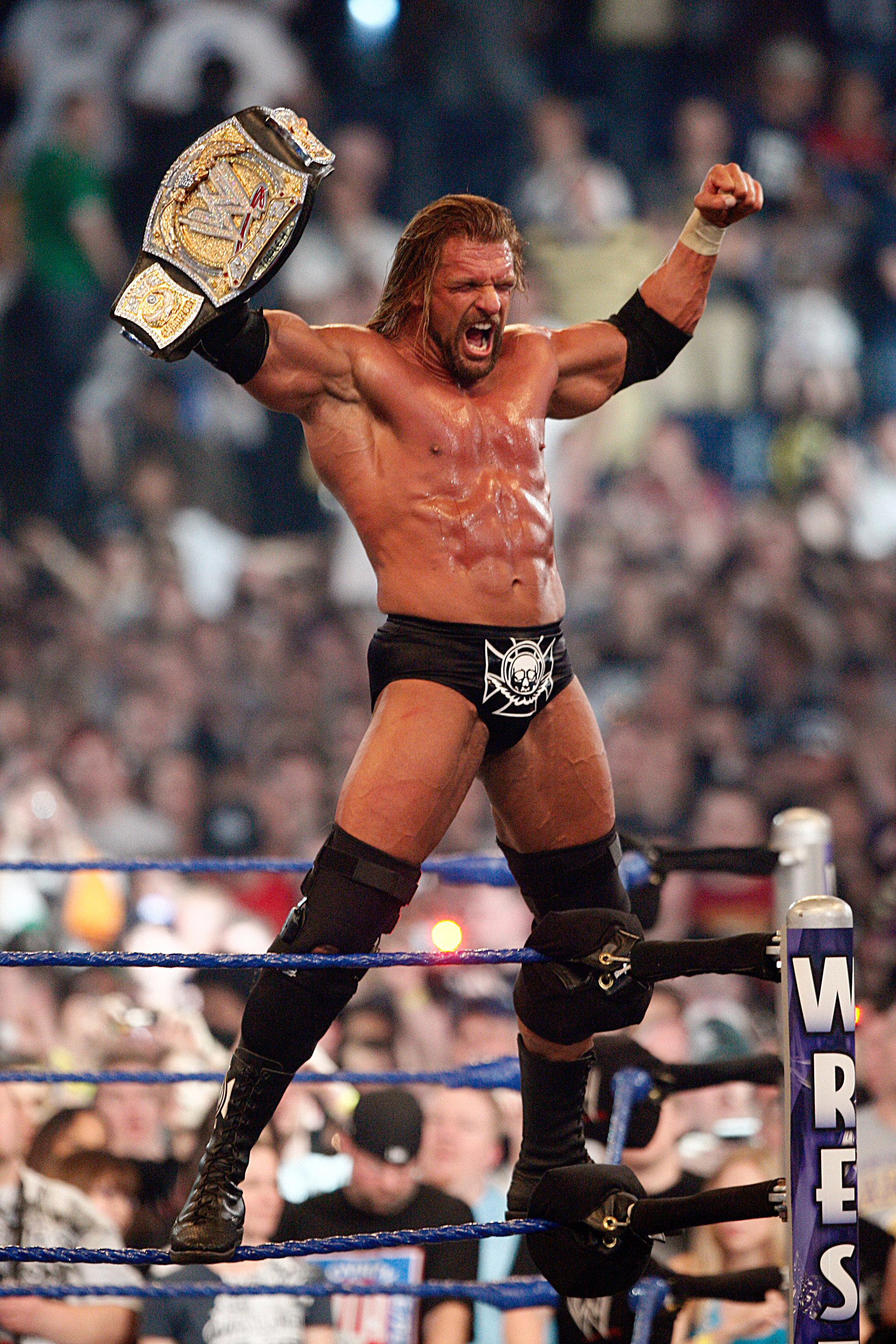 Triple H Wwe Champion 2009 - HD Wallpaper 