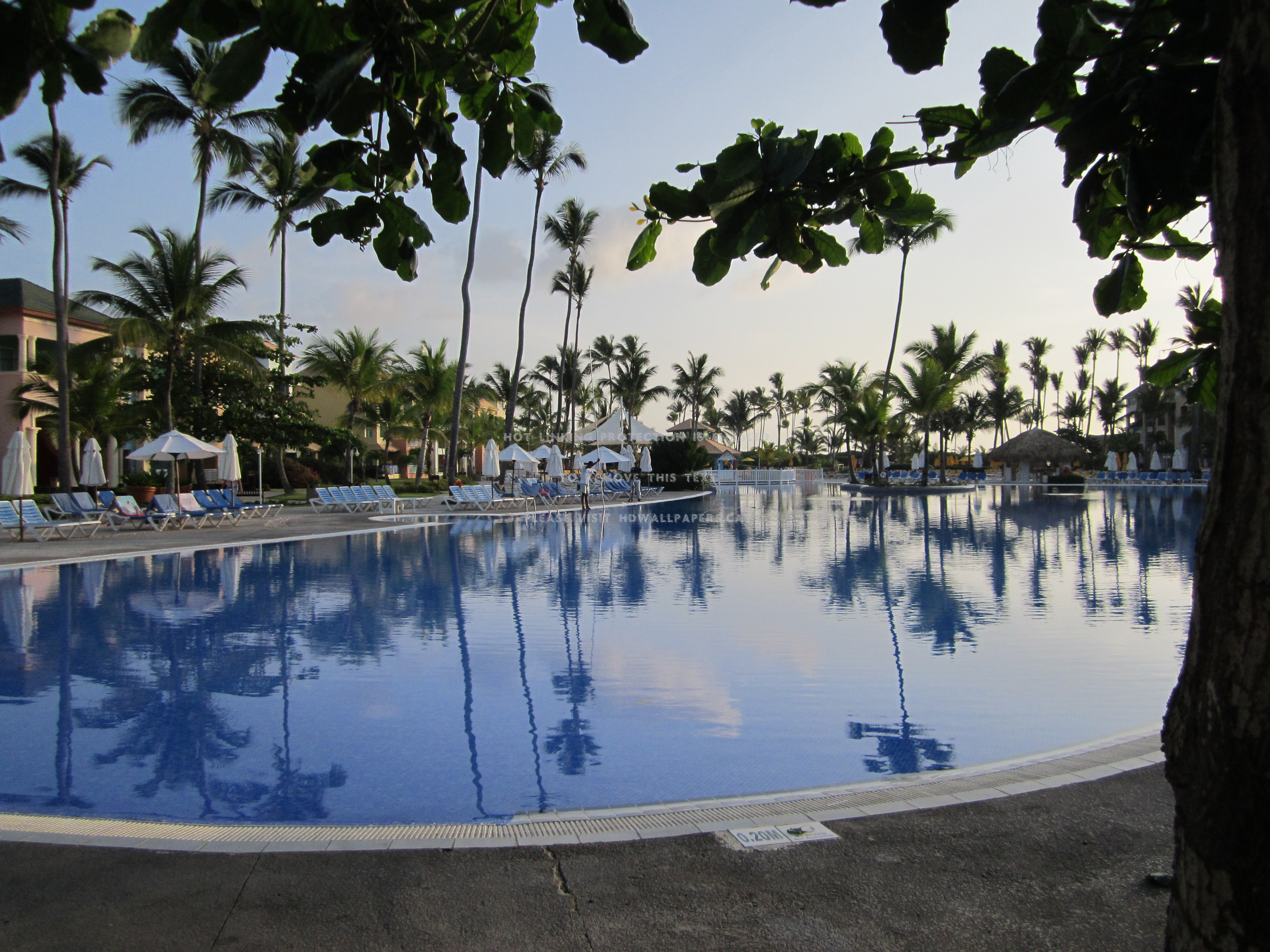 Resort Pool Water Dominican Republic Nature - Swimming Pool - HD Wallpaper 