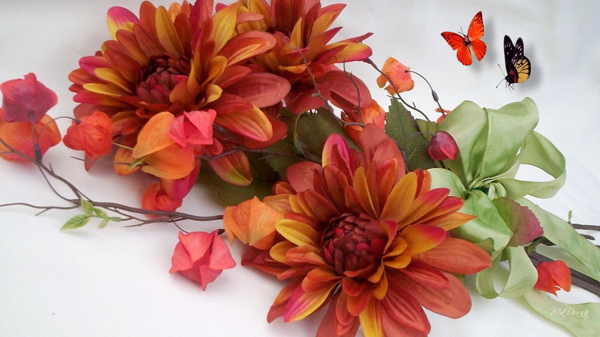 Energy Of Fall Flowers - HD Wallpaper 