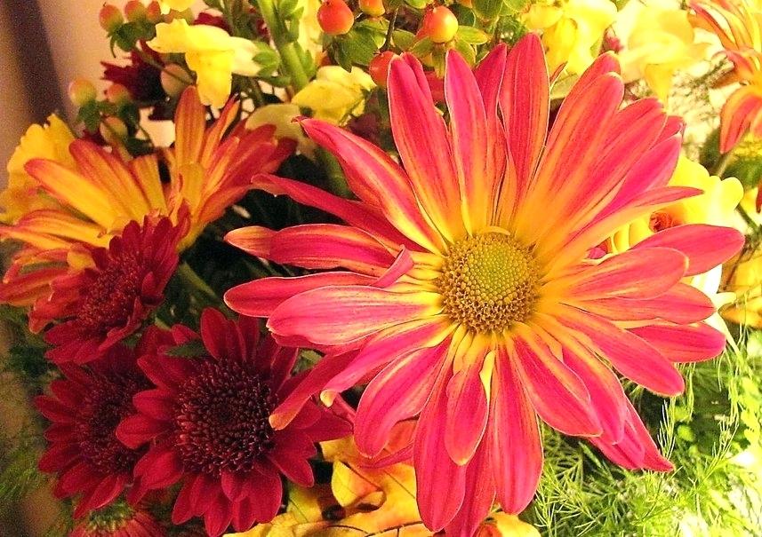 Autumn Flowers Wallpaper Fall Flowers Wallpaper Autumn - HD Wallpaper 