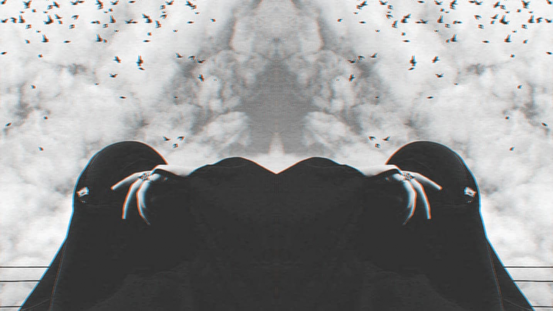 Marine Invertebrates - HD Wallpaper 