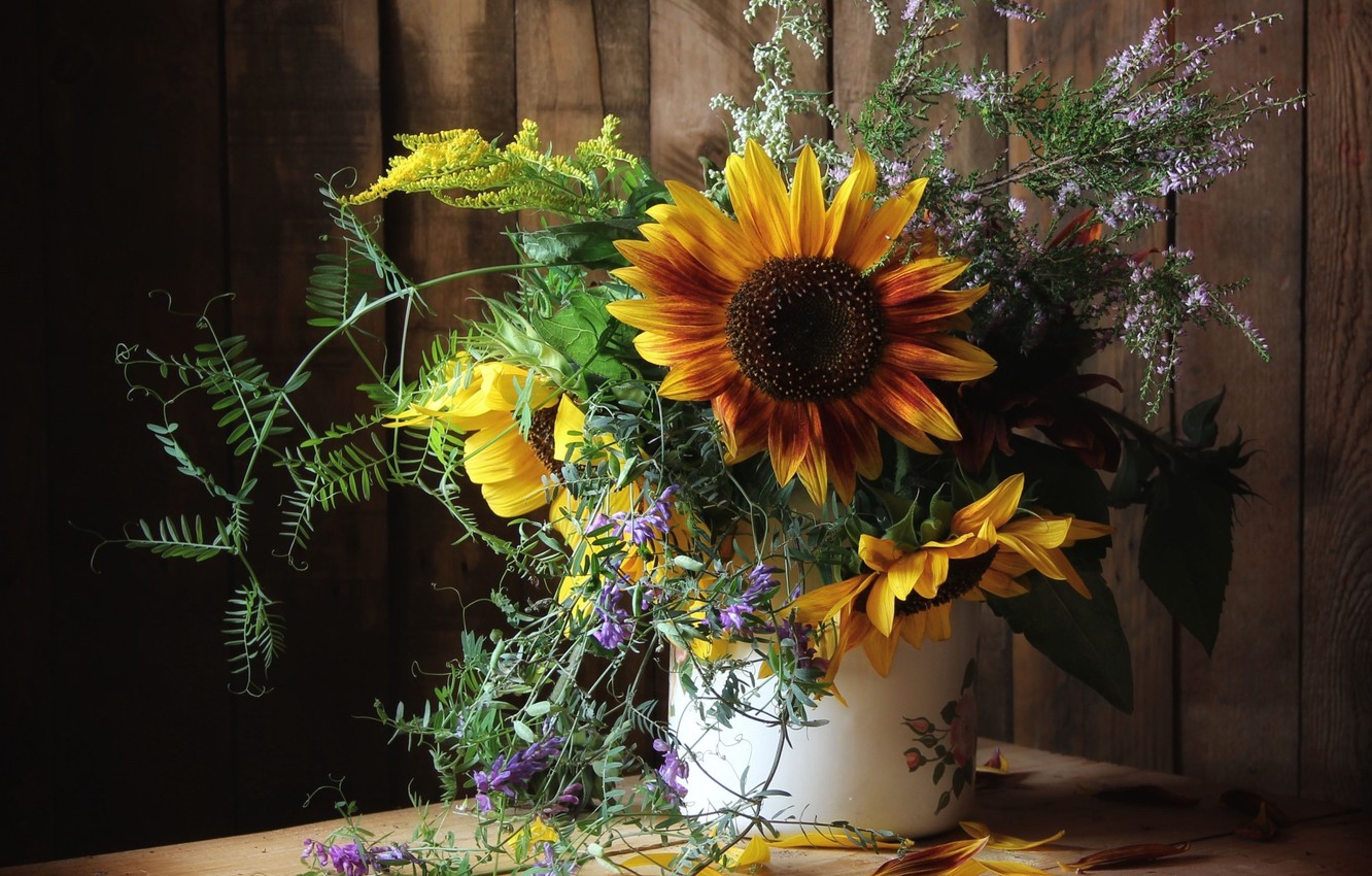 Photo Wallpaper Flower, Nature, Life, Flowers, Autumn, - HD Wallpaper 